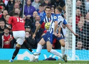 爱游戏- 布莱顿主场迎战水晶宫分析最新 