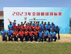 板球夜战：姑苏灰熊队绝杀海滨貔貅队，速度优势明显临场应变见真章(06年灰熊队阵容)